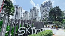 The Skywoods (D23), Condominium #584916221